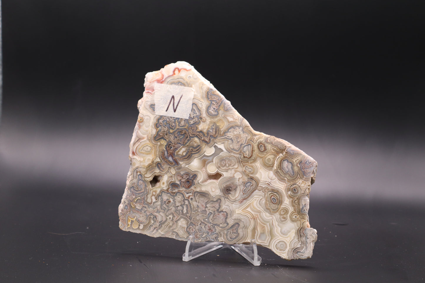 Crazy Lace Agate slab (Unpolished)
