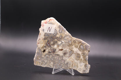 Crazy Lace Agate slab (Unpolished)