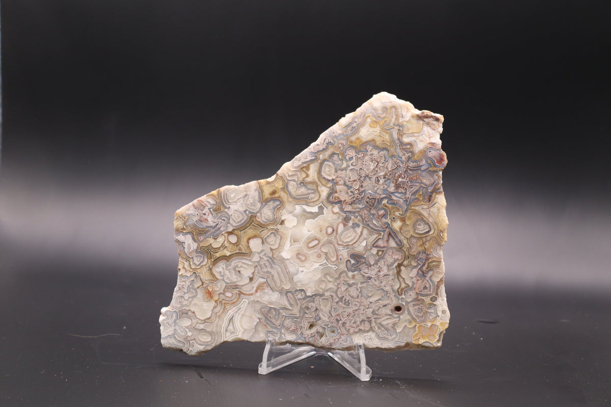 Crazy Lace Agate slab (Unpolished)