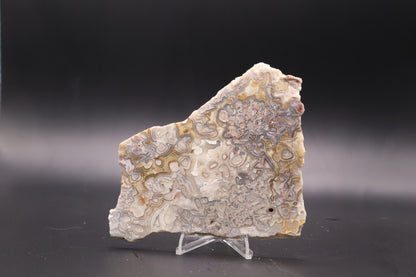 Crazy Lace Agate slab (Unpolished)