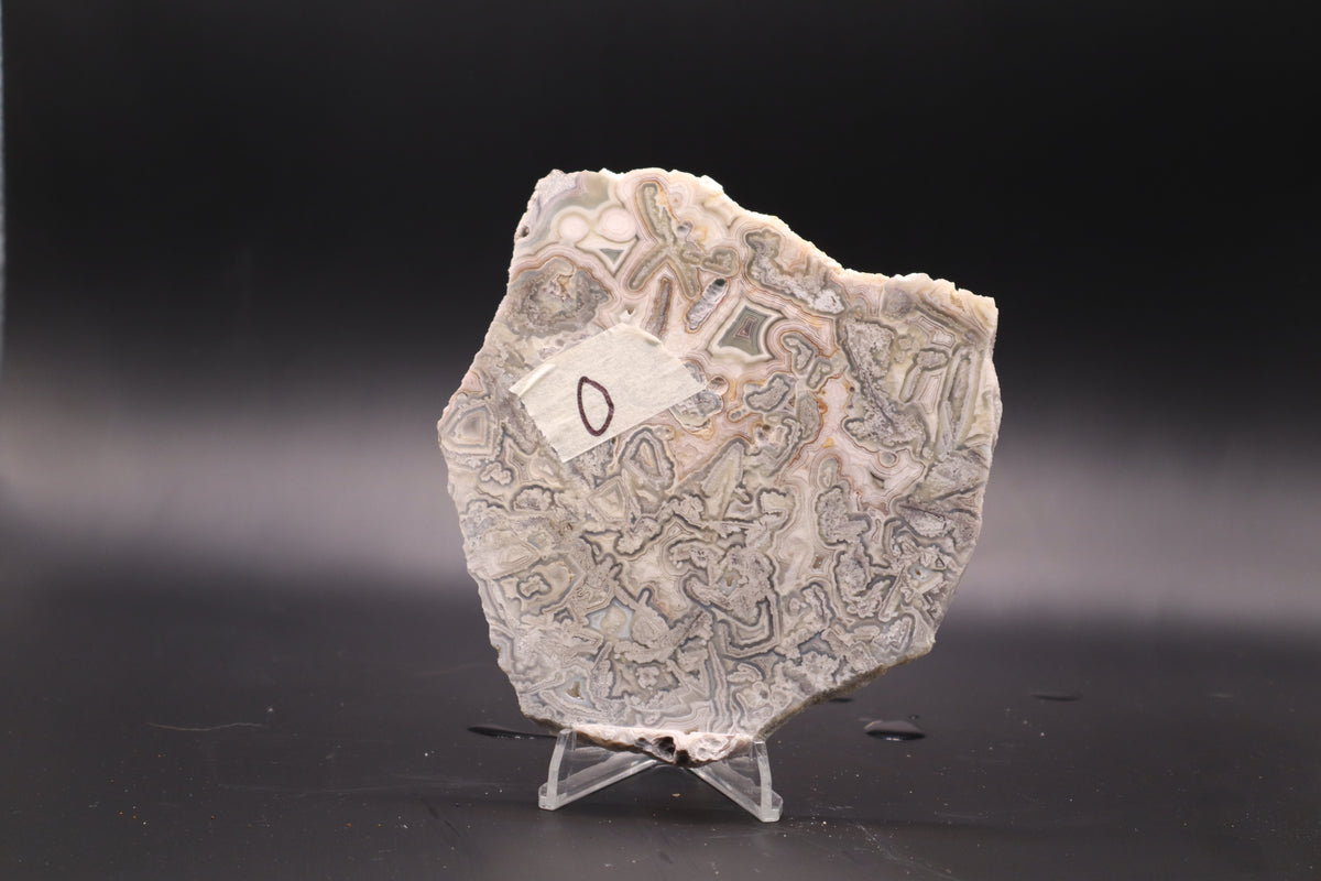 Crazy Lace Agate slab (Unpolished)