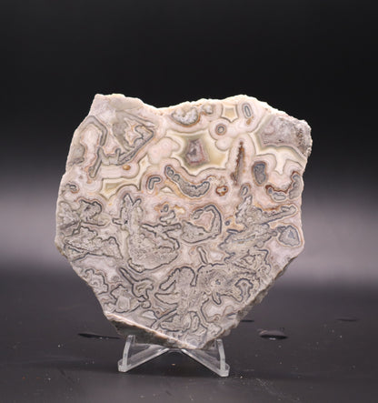 Crazy Lace Agate slab (Unpolished)