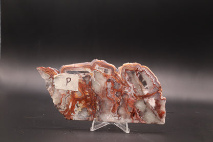 Crazy Lace Agate slab (Unpolished)