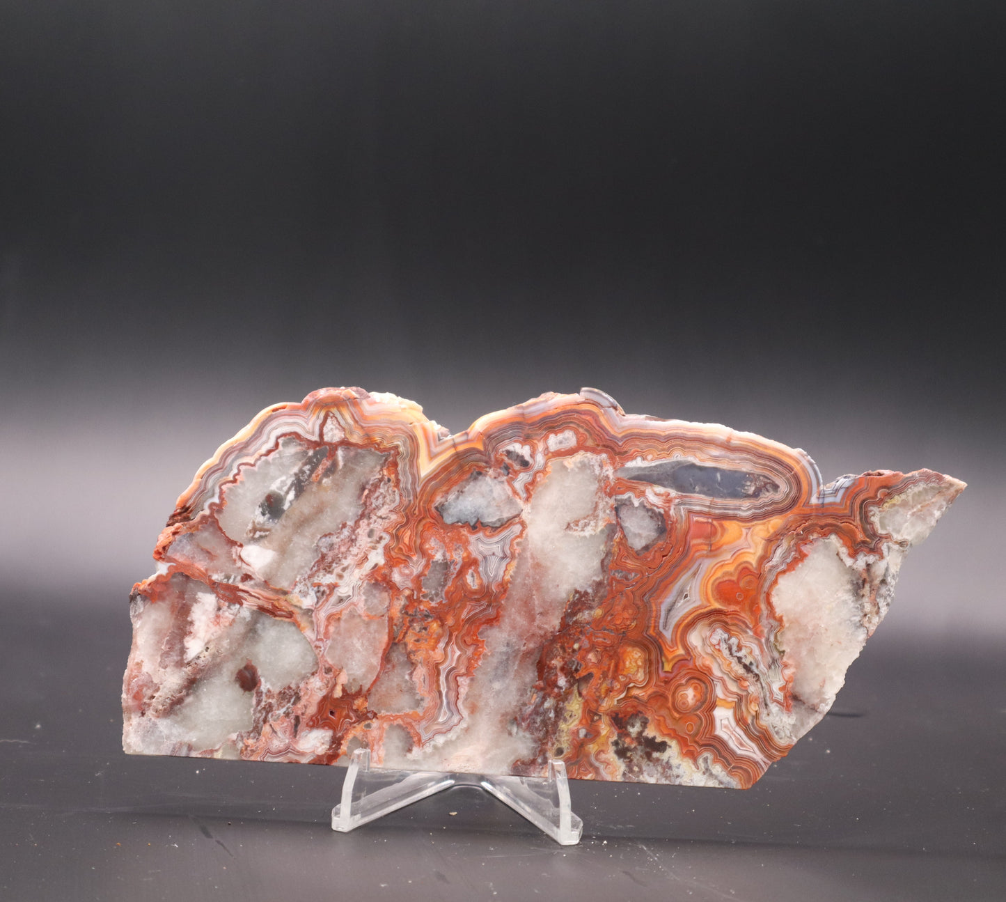 Crazy Lace Agate slab (Unpolished)