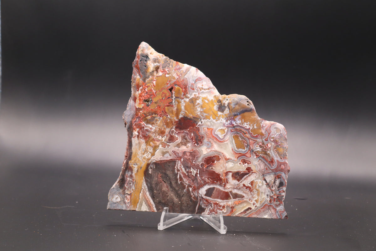 Crazy Lace Agate slab (Unpolished)