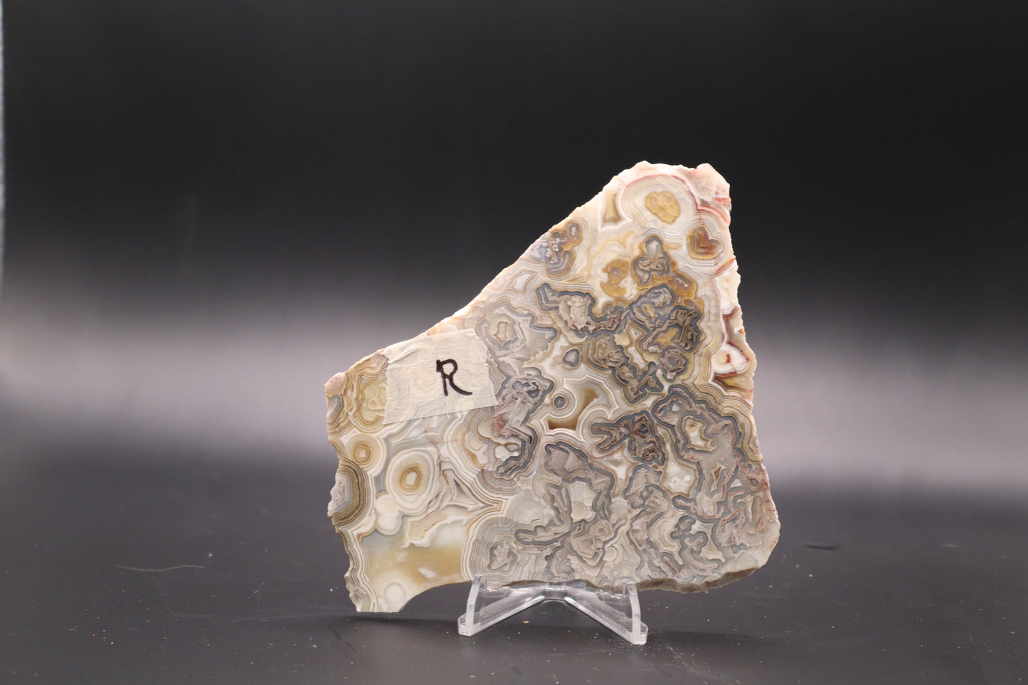 Crazy Lace Agate slab (Unpolished)