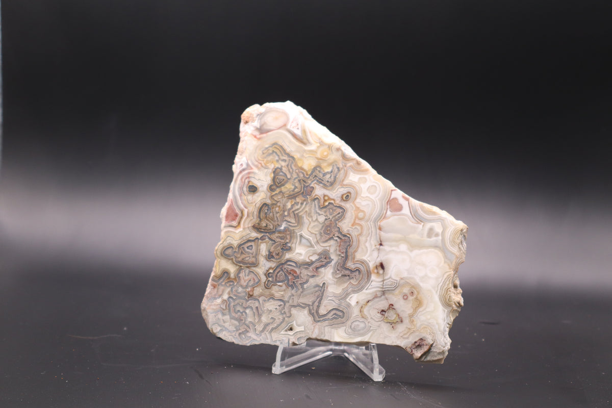 Crazy Lace Agate slab (Unpolished)