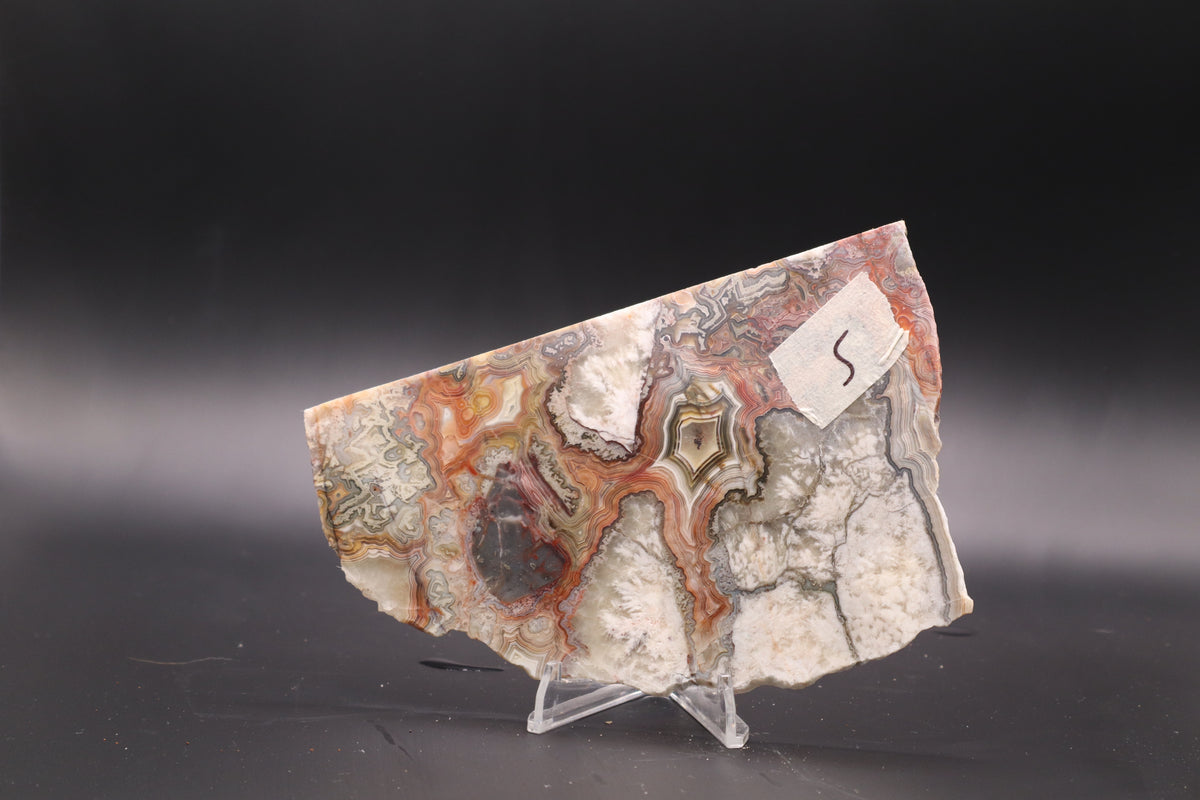 Crazy Lace Agate slab (Unpolished)