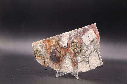 Crazy Lace Agate slab (Unpolished)