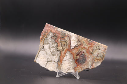 Crazy Lace Agate slab (Unpolished)