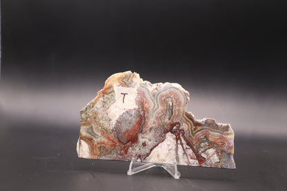 Crazy Lace Agate slab (Unpolished)