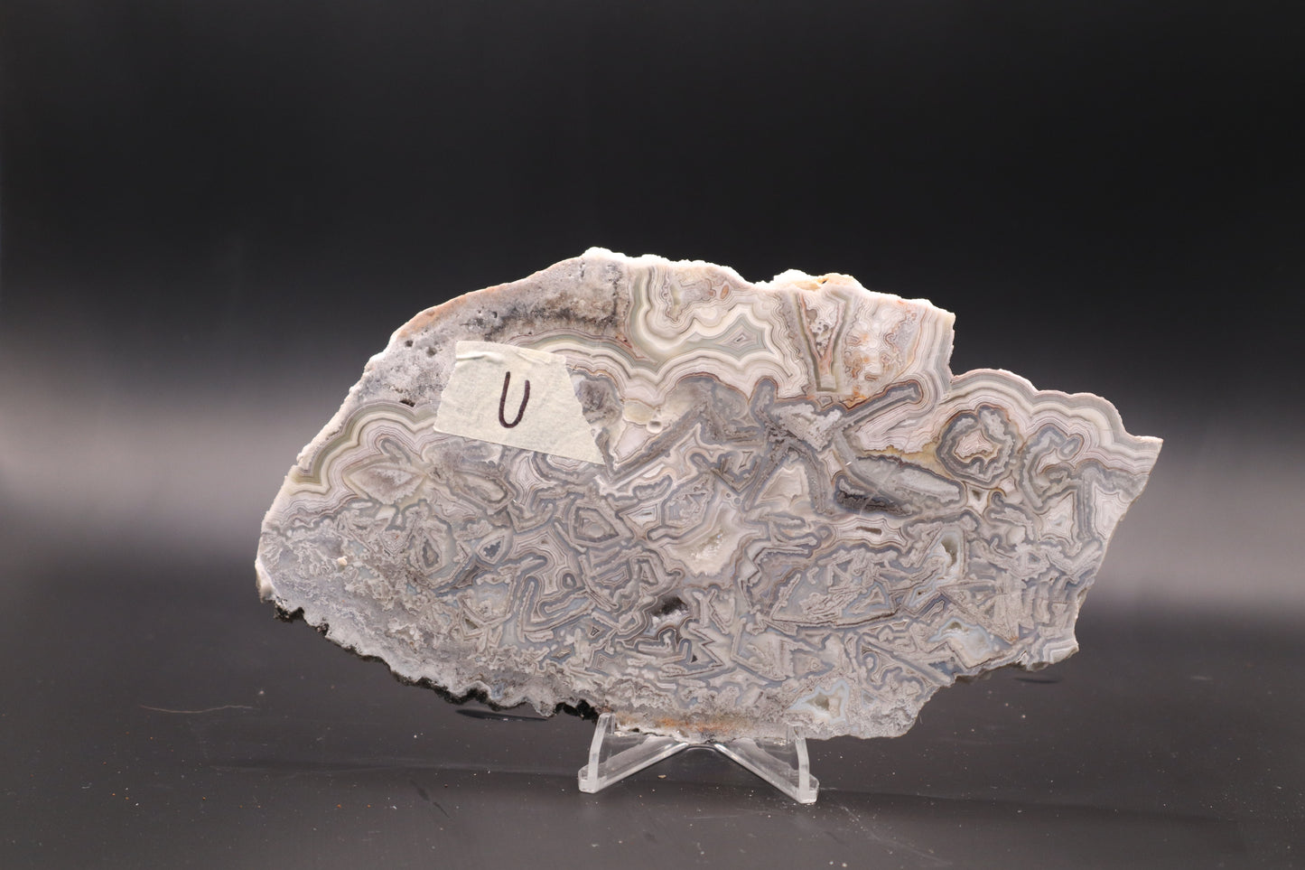 Crazy Lace Agate slab (Unpolished)