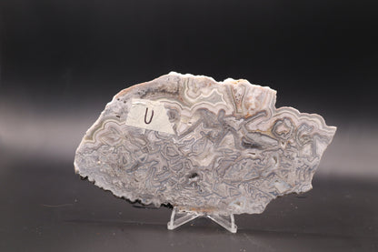 Crazy Lace Agate slab (Unpolished)