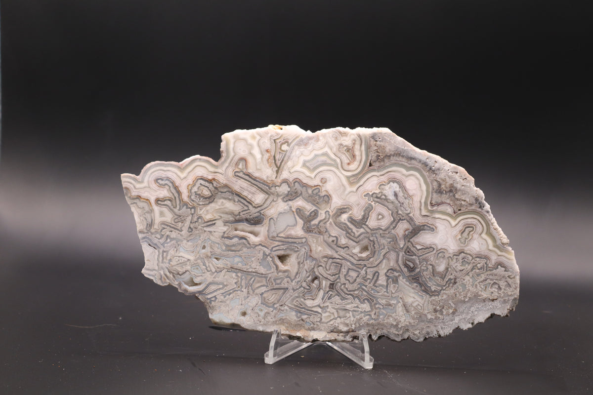Crazy Lace Agate slab (Unpolished)