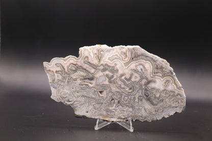 Crazy Lace Agate slab (Unpolished)