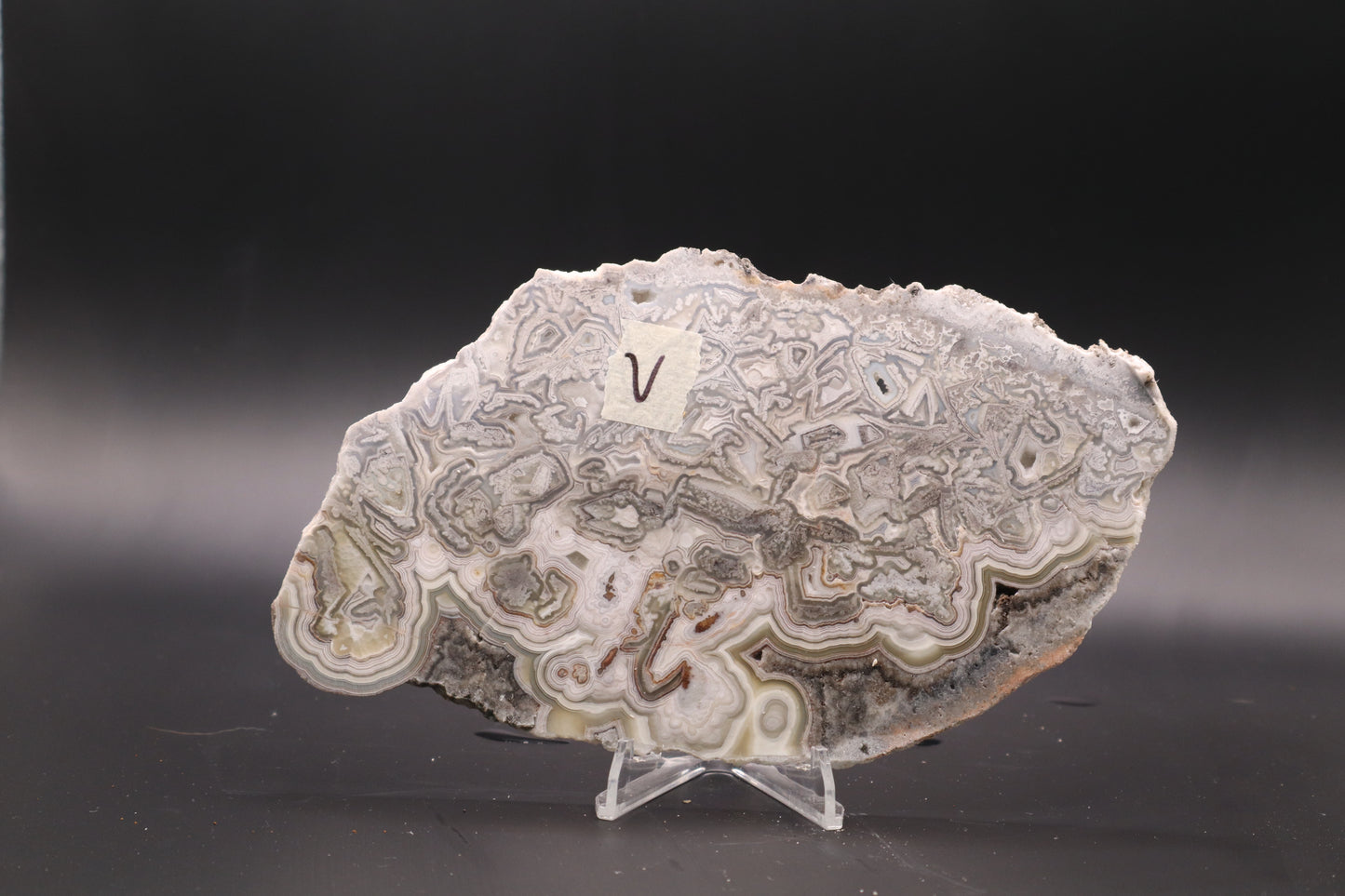 Crazy Lace Agate slab (Unpolished)