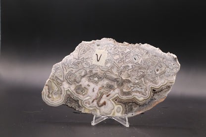 Crazy Lace Agate slab (Unpolished)