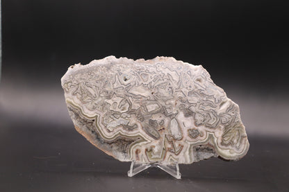 Crazy Lace Agate slab (Unpolished)