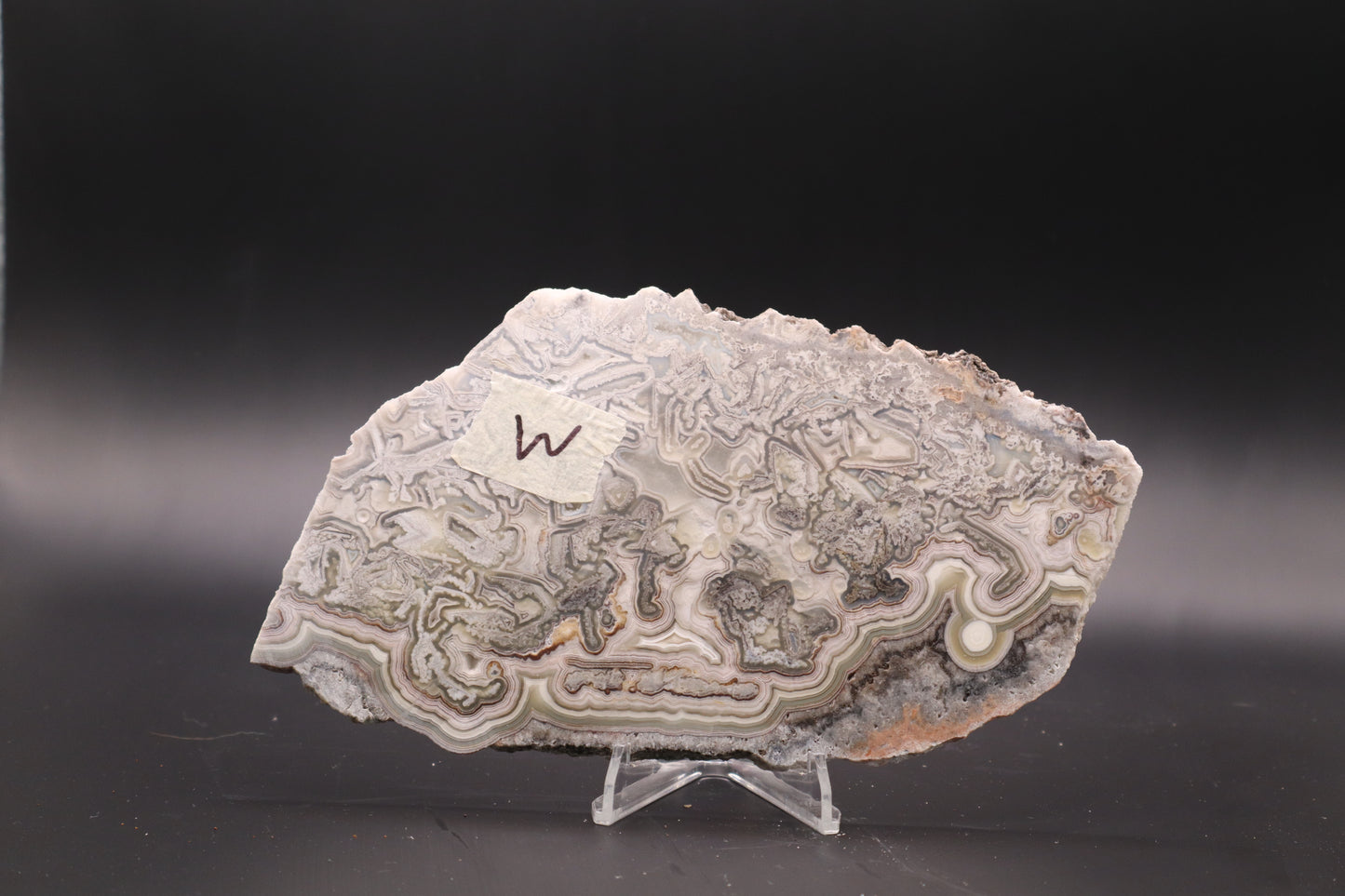 Crazy Lace Agate slab (Unpolished)