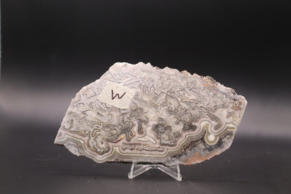 Crazy Lace Agate slab (Unpolished)