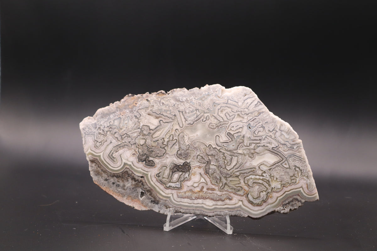 Crazy Lace Agate slab (Unpolished)