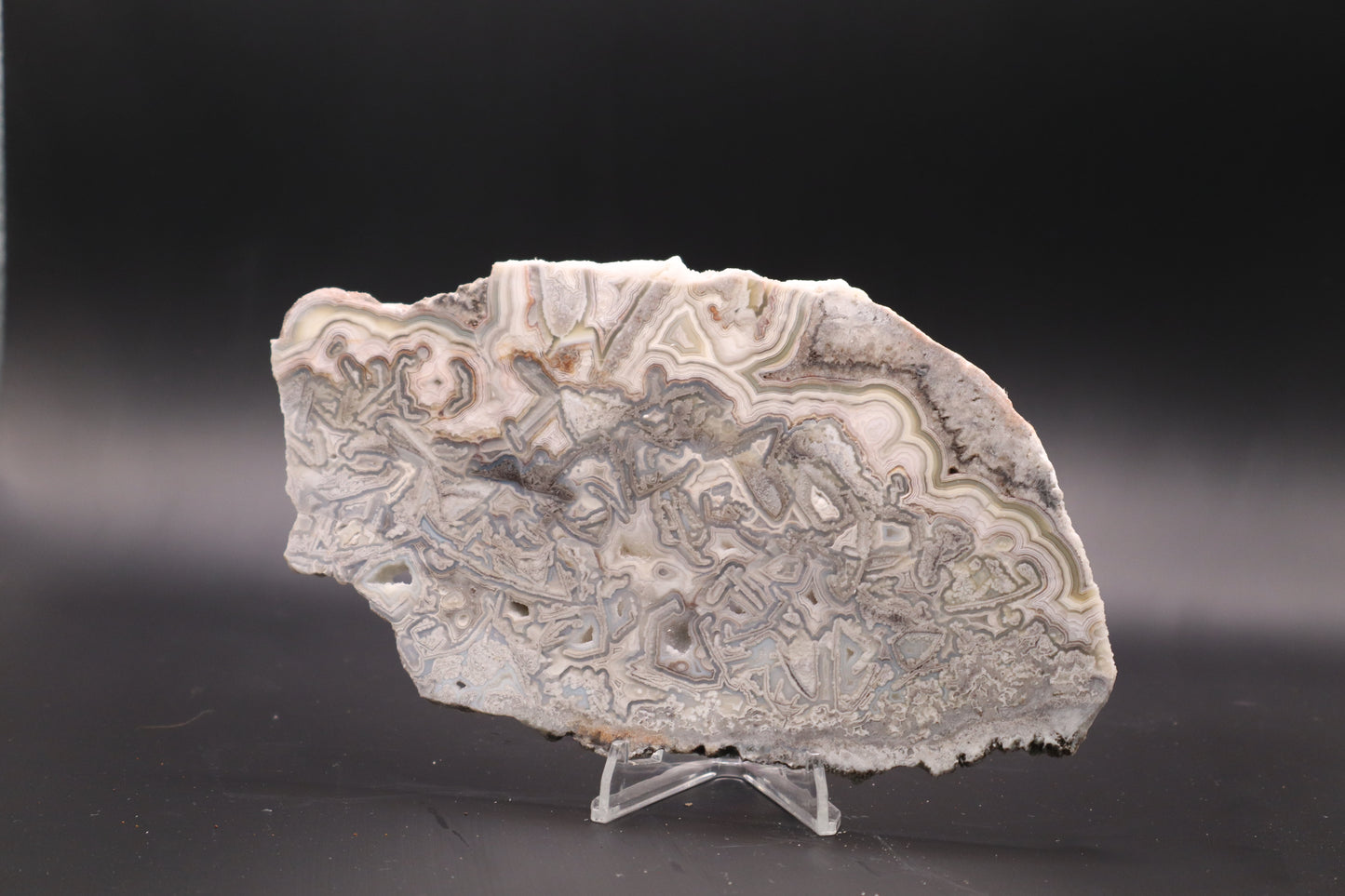 Crazy Lace Agate slab (Unpolished)
