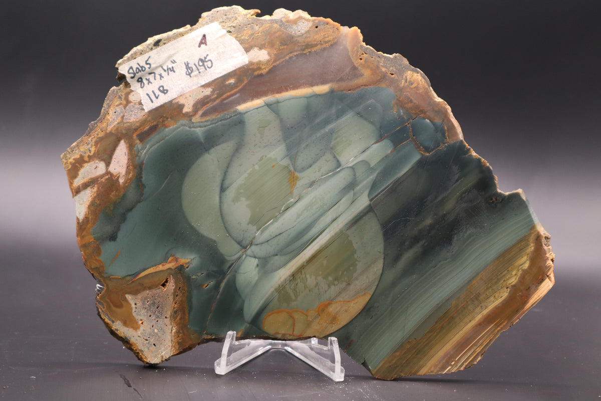 Blue Mountain Jasper slab