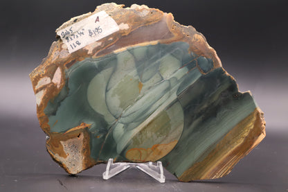 Blue Mountain Jasper slab