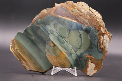 Blue Mountain Jasper slab