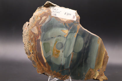 Blue Mountain Jasper slab