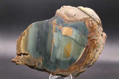 Blue Mountain Jasper slab