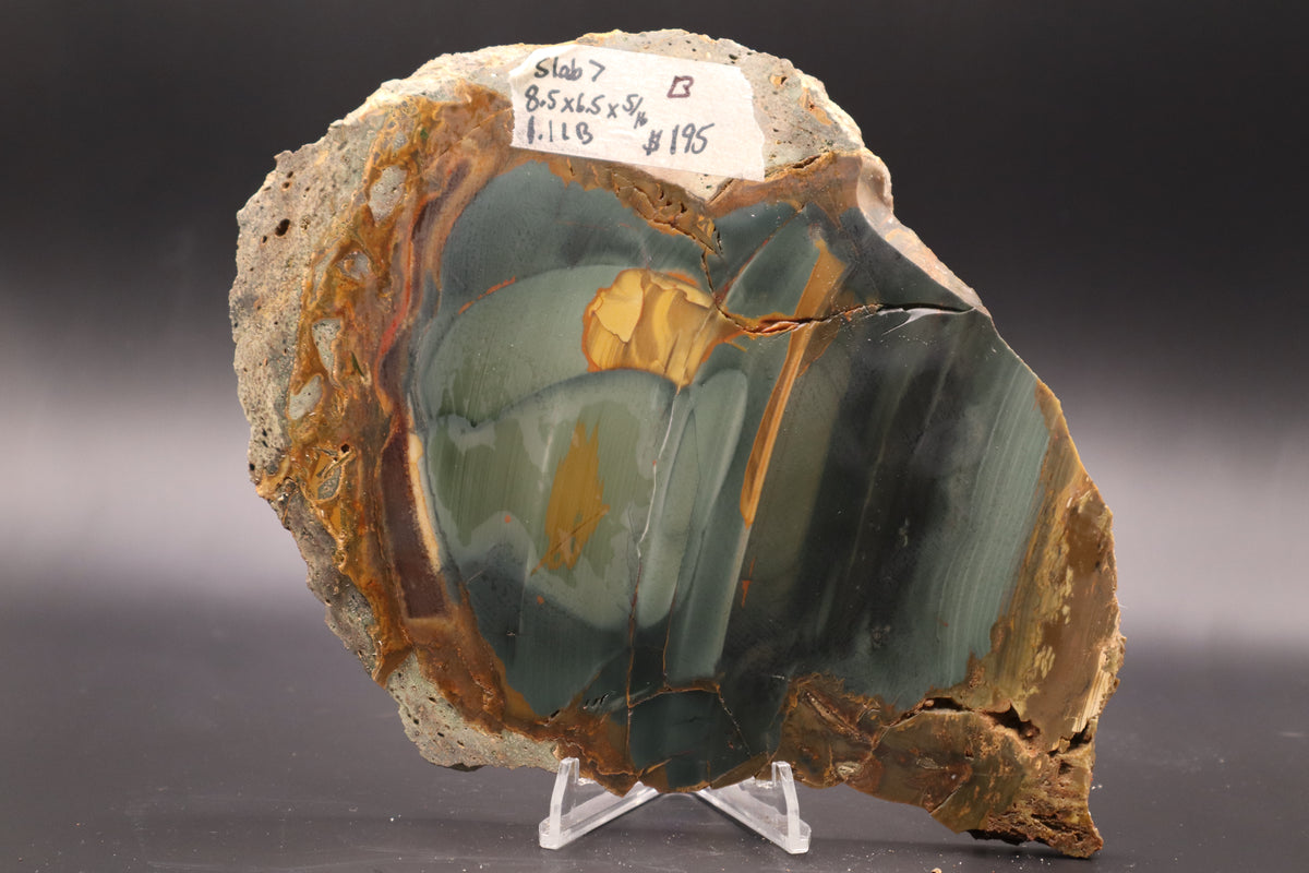 Blue Mountain Jasper slab