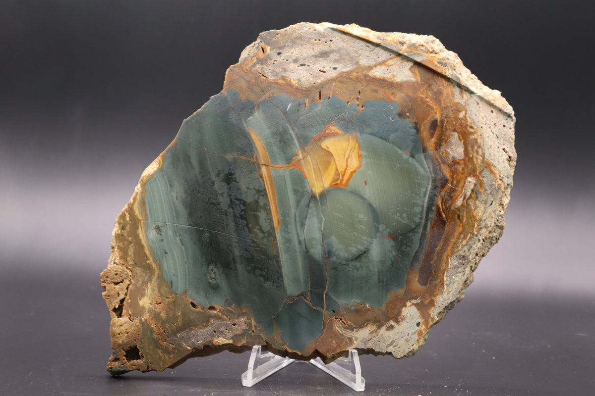 Blue Mountain Jasper slab