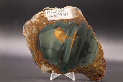 Blue Mountain Jasper slab