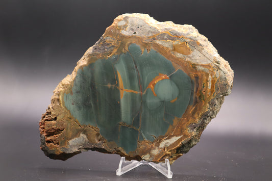 Blue Mountain Jasper slab