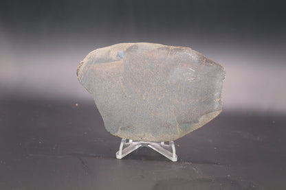 Stabilized Dinosaur Bone slab (Unpolished)