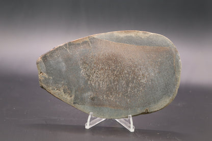 Stabilized Dinosaur Bone slab (Unpolished)