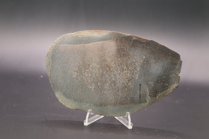 Stabilized Dinosaur Bone slab (Unpolished)