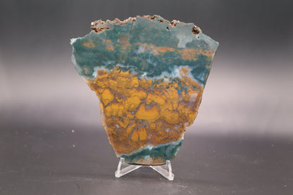Orange Jasper with Stromatolites slab (Unpolished)