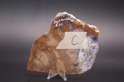 Amethyst Sage Agate slab (Unpolished)