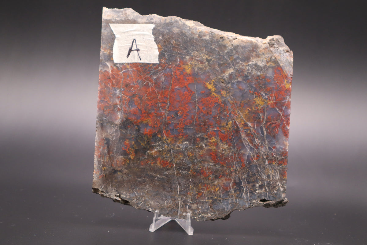 St. Johns Plume Agate (flower) slab (Unpolished)