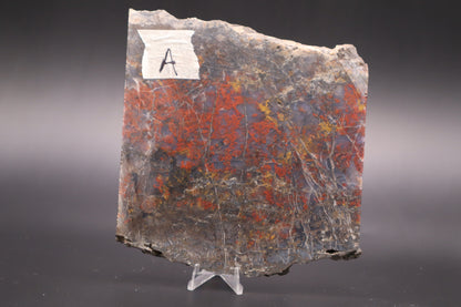 St. Johns Plume Agate (flower) slab (Unpolished)