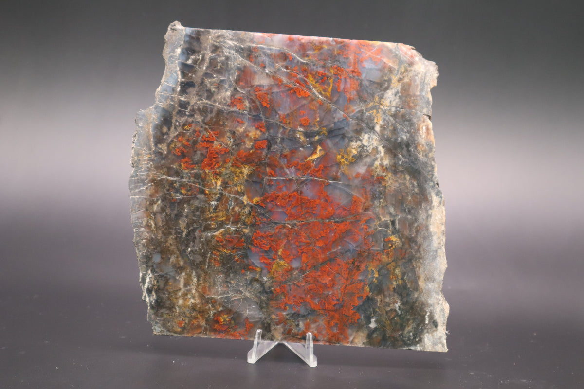St. Johns Plume Agate (flower) slab (Unpolished)