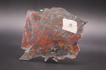 St. Johns Plume Agate (flower) slab (Unpolished)