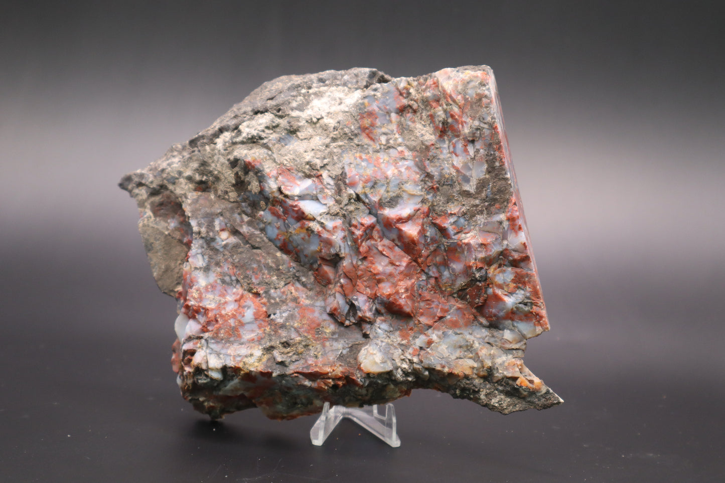 St. Johns Plume Agate (flower) slab (Unpolished)