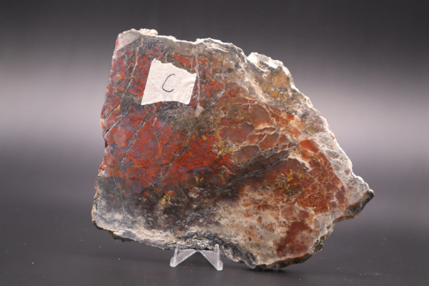 St. Johns Plume Agate (flower) slab (Unpolished)