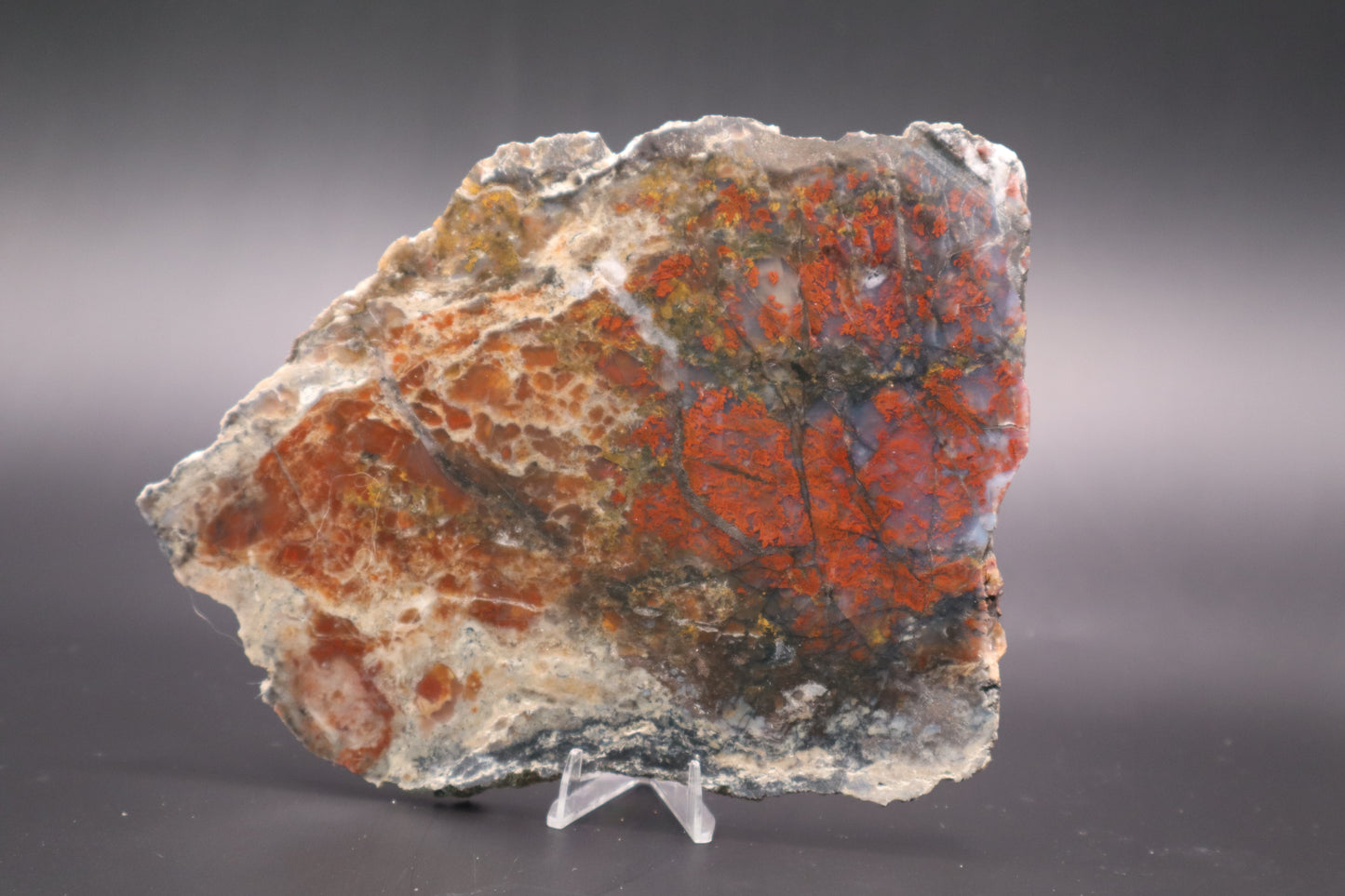St. Johns Plume Agate (flower) slab (Unpolished)