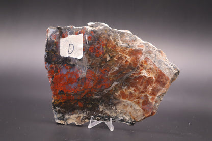 St. Johns Plume Agate (flower) slab (Unpolished)