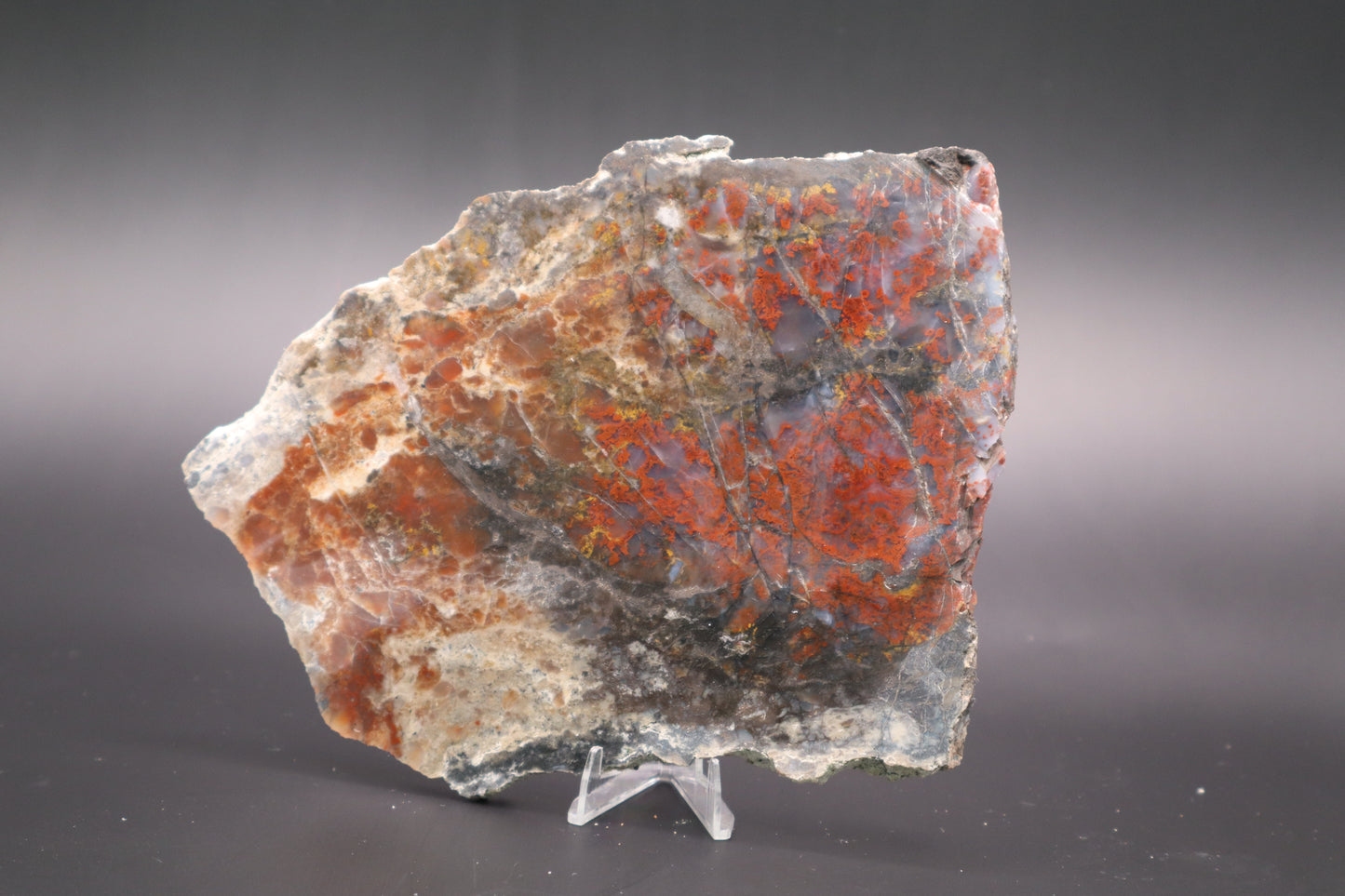 St. Johns Plume Agate (flower) slab (Unpolished)
