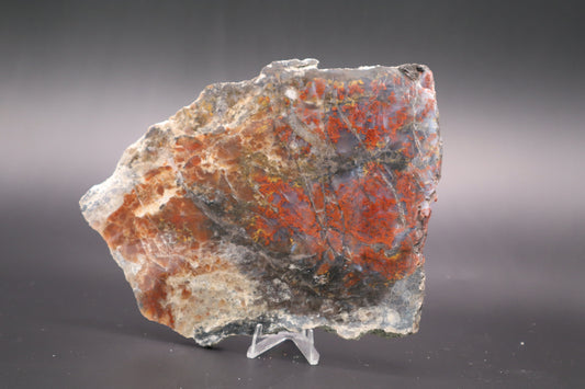 St. Johns Plume Agate (flower) slab (Unpolished)